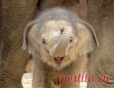 Мой Мир@Mail.Ru