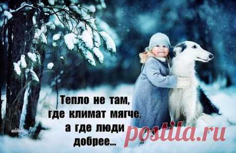(99) Одноклассники