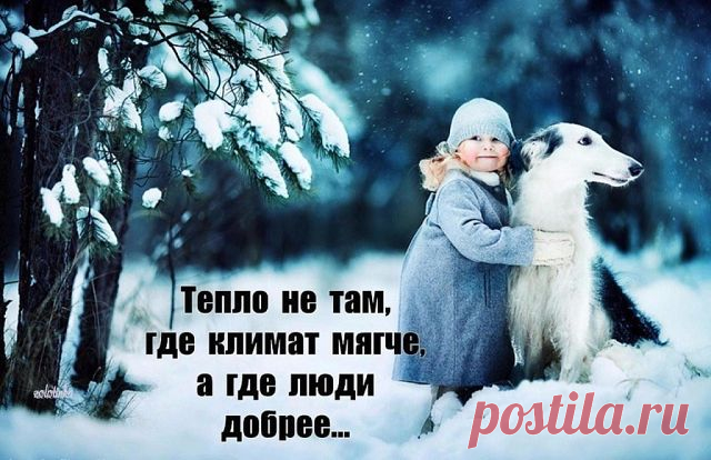 (99) Одноклассники