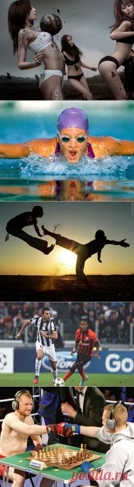 Го, Спортинг, Вейкборд, Гребля академическая. (1/1) - Спортивный форум. - Спортивный сайт