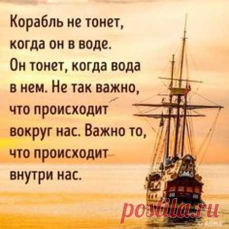 (102) 20f84193fc8b8e1069c469e1ecb7e618.jpg 640×930 пікс. | card
