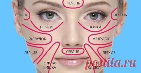 Благодаря этой китайской схеме узнала о своей болезни раньше врачей! Это меня спасло.
Говорят, что глаза — зеркало души. Как глаза отражают внутренний мир, так кожа отражает состояние здоровья человека. Китайские медики считают, что каждый участок кожи связан с определенным органом. Таким образом разные высыпания, прыщи и изменение цвета кожи могут быть тревожными сигналами, которые подает наш организм.
Разобраться в том, за какие органы отвечает определенный участок кожи, поможет эта китайска