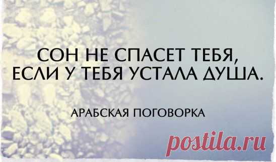 (1) Одноклассники