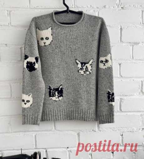 джемпер Cats