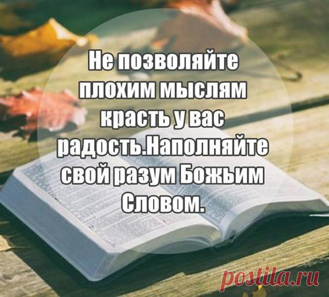 b-974.jpg (720×651)