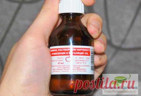 За цей рецепт ще спасибі скажете, коли від кісточок позбудетеся – я про них давно забула!