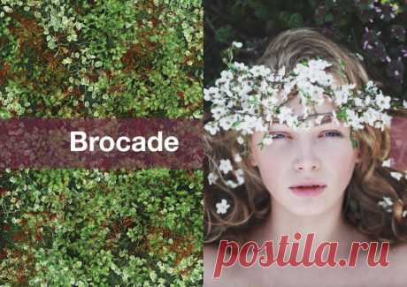 TRENDS // SPIN EXPO - BROCADE 2017 / Тенденции / ВТОРАЯ УЛИЦА