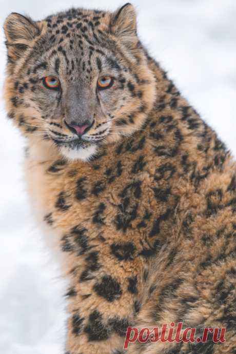 (6) Tumblr