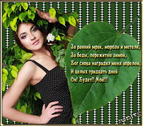 12416779.gif (600×529)