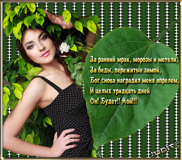 12416779.gif (600×529)