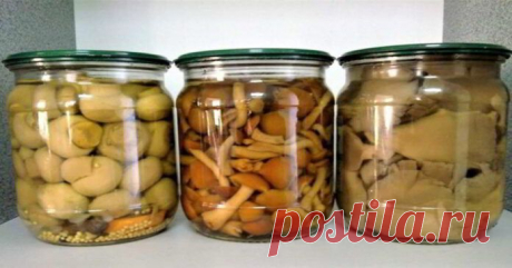 Marinatas grybams: tinka beveik visoms grybų rūšims!