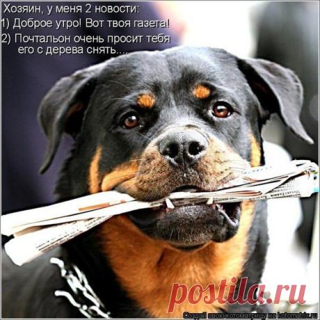 ВНИМАНИЕ!! Набираю сотрудниц для работы через интернет. 2-3 часа в день. Доход легальный на расчетный счет в банк, оформление официальное,вложений и продаж не требуется.
Заинтересовало? Проходим по ссылке и внимательно читаем.
