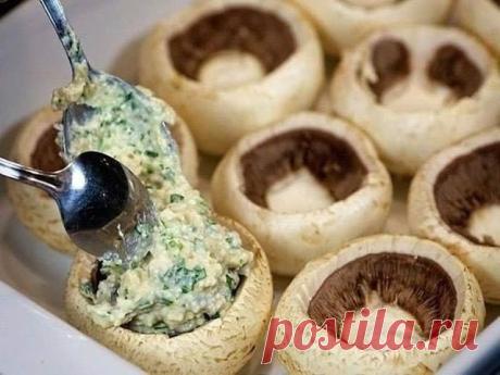 Шампиньоны, фаршированные курицей и сыром, получаются сытными и оригинальными на вкус.

Ингредиенты:

500 г куриного филе

60 г феты

10 больших свежих шампиньонов

4 столовые ложки сметаны

1 столовая ложка муки

1/2 стакана измельченной моцареллы

свежая зелень петрушки по вкусу

молотый черный перец по вкусу

соль по вкусу

1 столовая ложка растительного масла.

Приготовление:

Промойте и обсушите шампиньоны, острым ножом подрежьте и выньте ножки. 
Застелите форму для в...
