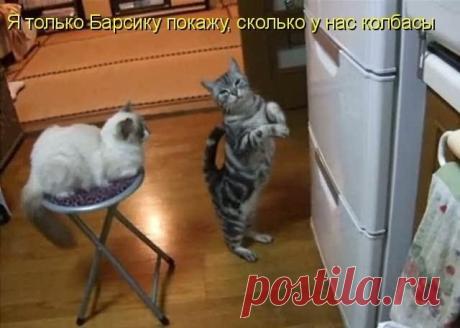 Мой Мир@Mail.Ru