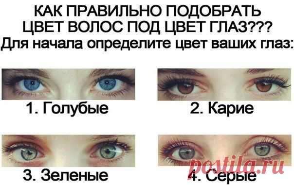 Ябкупила | ВКонтакте