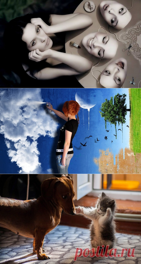 А вот обои оригинальные, монитор им будет рад!