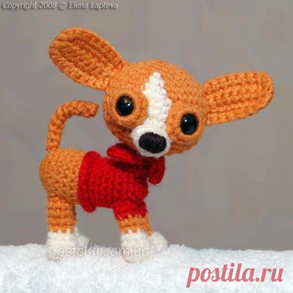 Вяжем символ 2018 года - собачку.  миниатюрная милашка породы Чихуа - хуа.