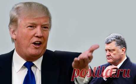 Трамп, платежки и приступ неизбывной доброты украинской власти
Судя по всему, телефонной разговор между победителем президентских выборов в США Дональдом Трампом и однотуровым президентом Украины Петром Порошенко все-таки состоялся.

На этот раз, похоже, гарант прав и свобод украинской нации говорил не с пранкерами Вованом и Лексусом, и не с кем-то из обслуживающего персонала, приняв его за Трампа в минуты перенапряжения душевных и физических сил. Нет, судя по некоторым сегодняшним событиям,