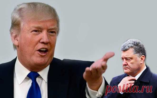 Трамп, платежки и приступ неизбывной доброты украинской власти
Судя по всему, телефонной разговор между победителем президентских выборов в США Дональдом Трампом и однотуровым президентом Украины Петром Порошенко все-таки состоялся.

На этот раз, похоже, гарант прав и свобод украинской нации говорил не с пранкерами Вованом и Лексусом, и не с кем-то из обслуживающего персонала, приняв его за Трампа в минуты перенапряжения душевных и физических сил. Нет, судя по некоторым сегодняшним событиям,