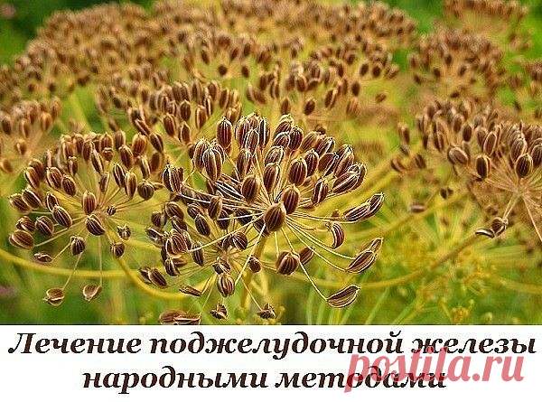 (61) Одноклассники