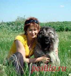 Гостевая книга