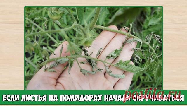 Комментарии к теме