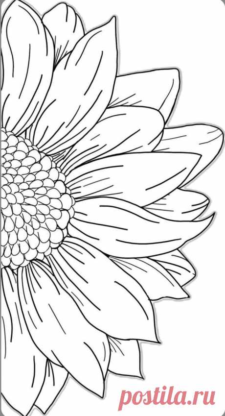 Pin page