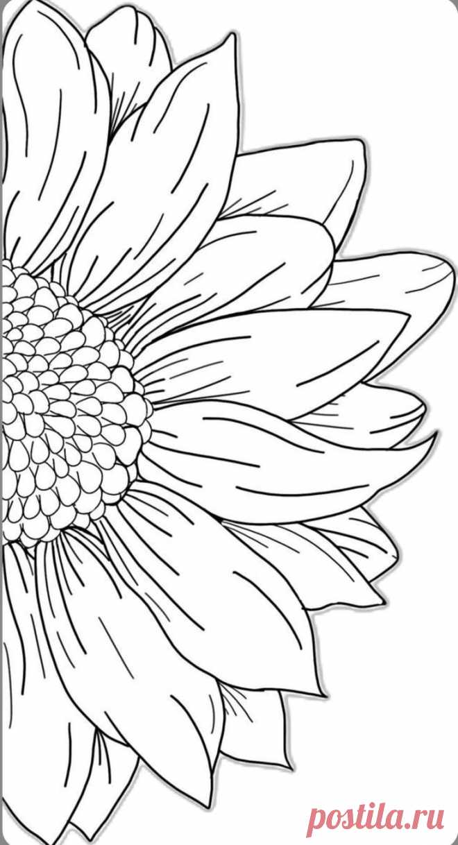 Pin page