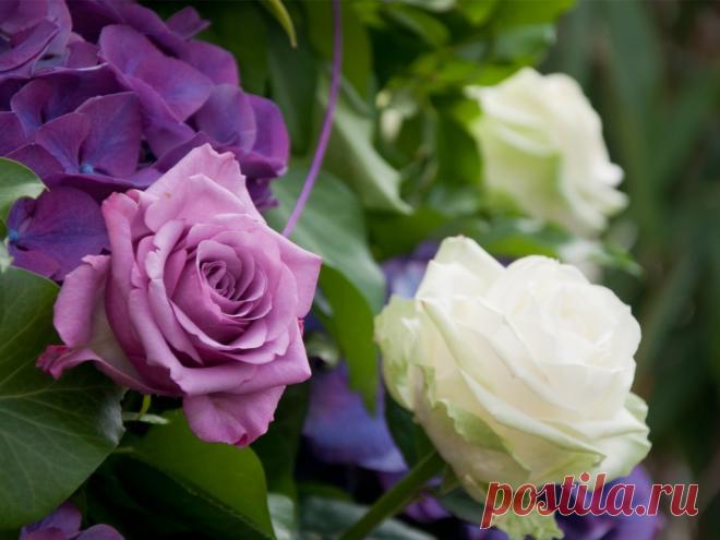 О как блаженно это утро!!!
В душе сияет радость счастья!
Кричу я миру: С ДОБРЫМ УТРОМ!!!
И снова рада видеть вас я!
Вчера трава была травой,
Сегодня - нежным совершенством.
Вчера - лишь синь над головой,
Сегодня небо - пик блаженства.
Вчера лишь солнце в вышине,
Сегодня - одеяло ласки...
Вчера - лишь утро в тишине,
Сегодня утро, словно в сказке!

Доброе утро!﻿