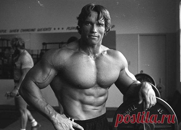 5 Советов от Арни: Как набрать мышечную массу | О здоровье | Яндекс Дзен