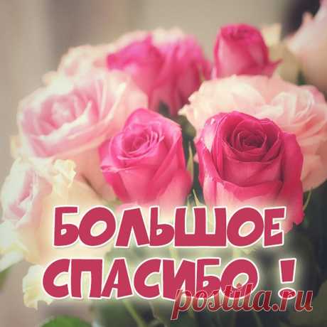 Вам огромное спасибо
От души я говорю.
Благодарности нет края,
Сотни раз я повторю.