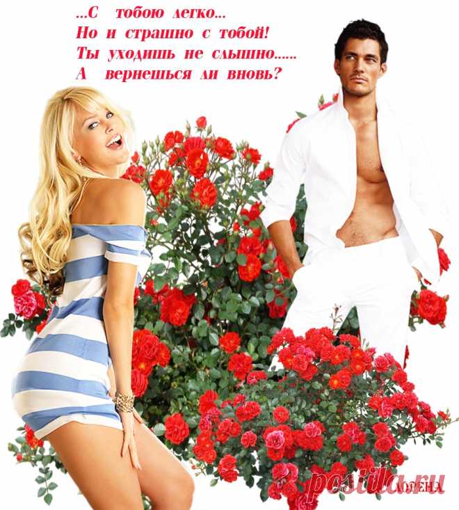 (3) Мой Мир@Mail.Ru