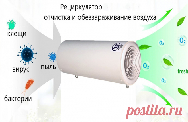 Микробы, прощайте - как рециркулятор воздуха защищает нас каждый день?