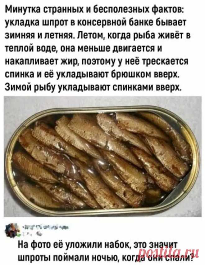 ггг