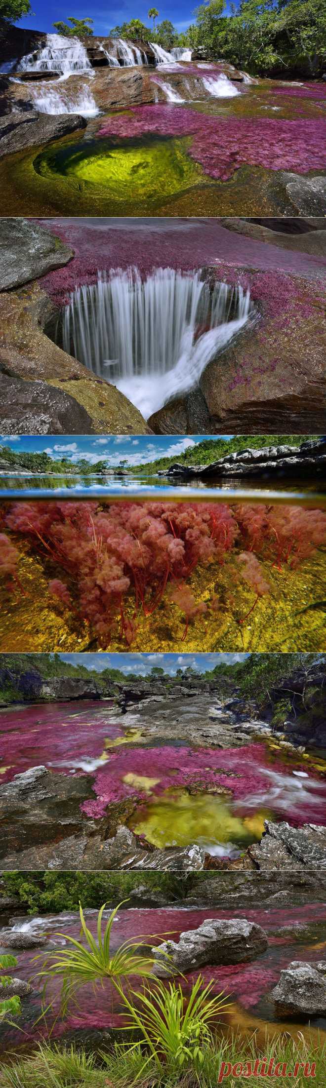 Яркие краски самой красивой реки в мире