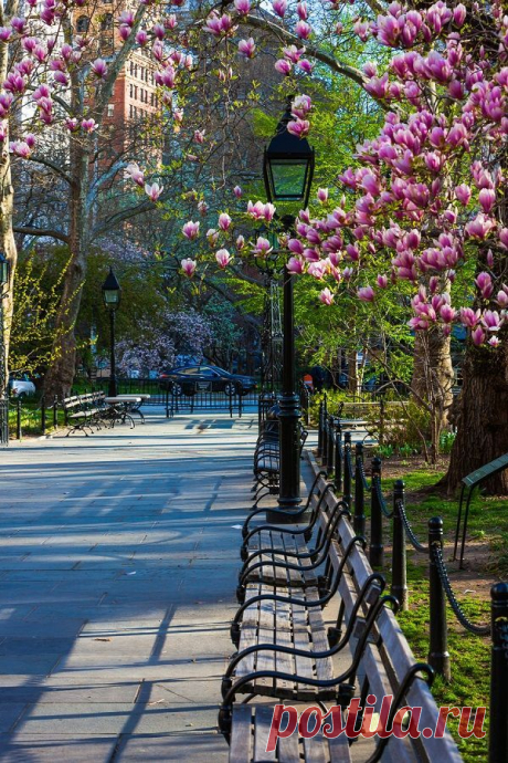 New York, USA