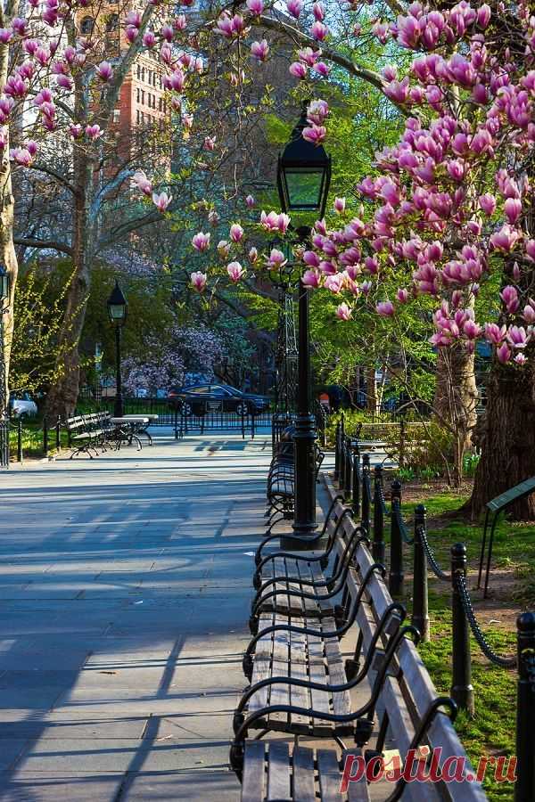 New York, USA