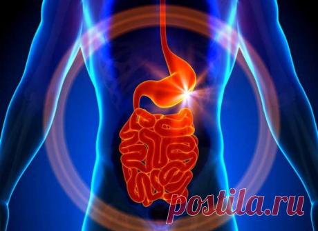 Антипаразитарное Очищение – Личный Опыт — Полезные советы