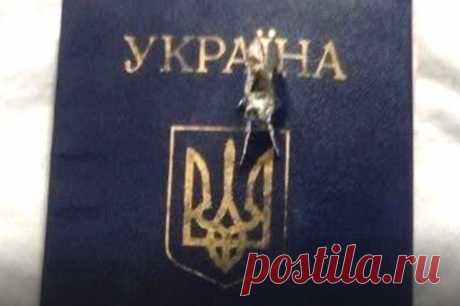 «Достал Зеля!» Боец ВСУ расстрелял паспорт, протестуя против Зеленского. По его словам, на передовой все гораздо хуже, чем говорят пропагандисты Киева.