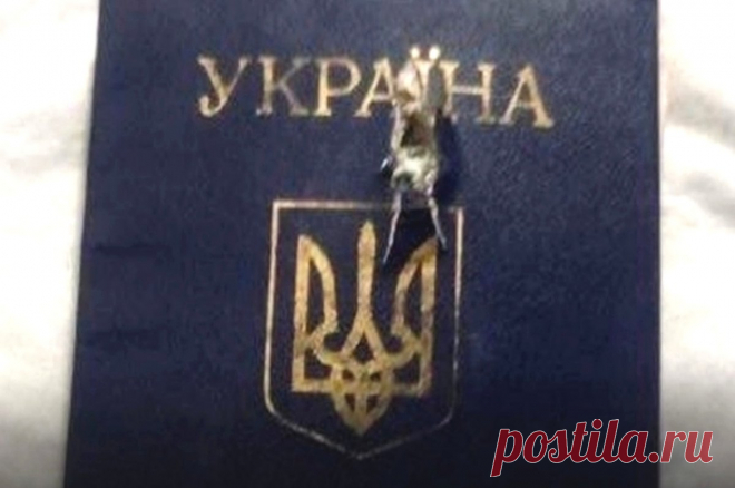 «Достал Зеля!» Боец ВСУ расстрелял паспорт, протестуя против Зеленского. По его словам, на передовой все гораздо хуже, чем говорят пропагандисты Киева.
