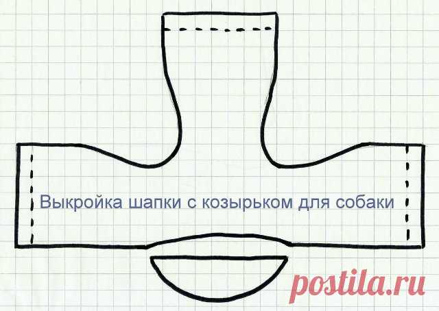 Выкройки одежды для собак - Страница 21 - Форум НАШИ ЙОРКИ И ИХ ДРУЗЬЯ