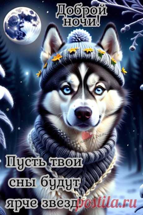"Спокойной ночи" - картинки зимние женщине(56шт.)