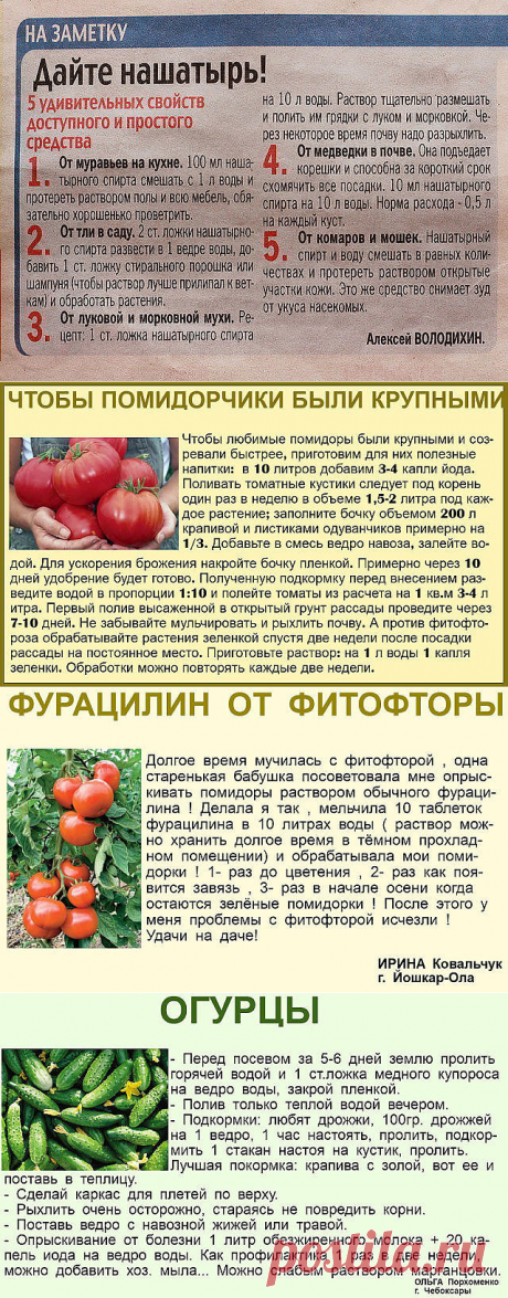 (64) Одноклассники