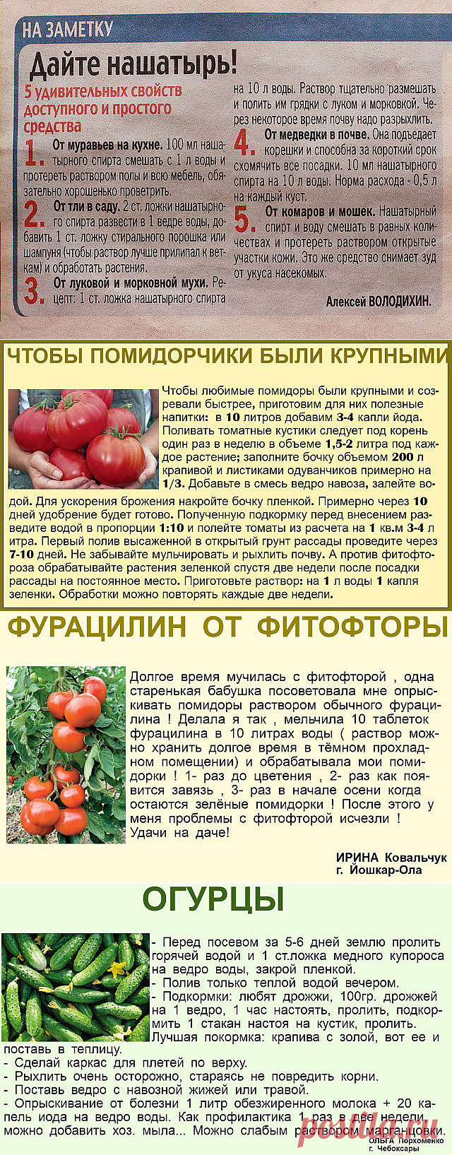 (64) Одноклассники