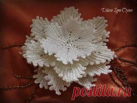 (3) Facebook