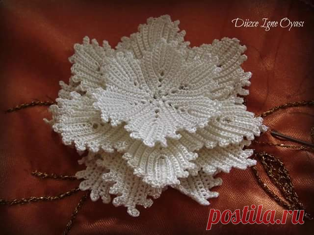 (3) Facebook