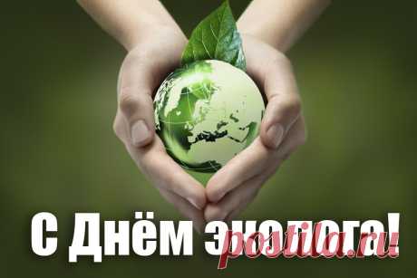 Почетная миссия, славное дело —
Природу беречь и хранить.
Эколог — профессия нужная очень,
Об этом нельзя позабыть.