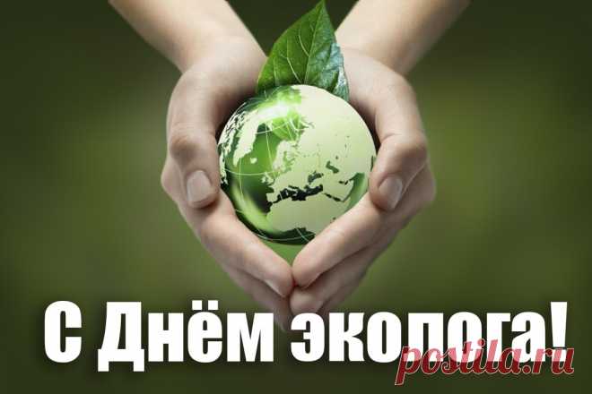 Почетная миссия, славное дело —
Природу беречь и хранить.
Эколог — профессия нужная очень,
Об этом нельзя позабыть.