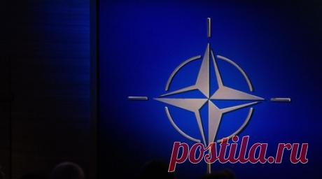 Economist: президентство Трампа закроет Украине путь в НАТО. Членство Украины в НАТО даже после саммита альянса в Вашингтоне остаётся под вопросом, особенно после того, как обещания Запада вновь сопровождались оговорками, пишет The Economist. Читать далее