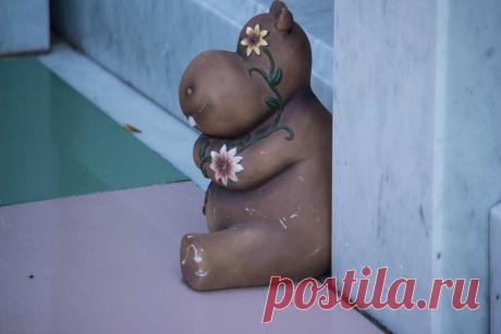 Бегемотик на кладбище: matilda_i_ja